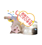 ふくりんスタンプ（個別スタンプ：26）