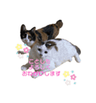 ふくりんスタンプ（個別スタンプ：39）