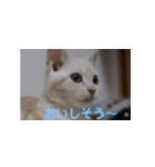 からあげくんとつくねくん2（個別スタンプ：2）