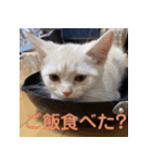 からあげくんとつくねくん2（個別スタンプ：8）