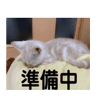 からあげくんとつくねくん2（個別スタンプ：11）
