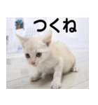 からあげくんとつくねくん2（個別スタンプ：16）