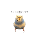 セキセイインコのちぃーちゃんです2（個別スタンプ：3）