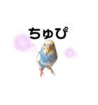 セキセイインコのちぃーちゃんです2（個別スタンプ：10）