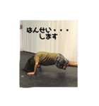 bonita Katia（個別スタンプ：9）