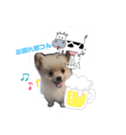 みにつん（個別スタンプ：1）