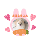 みにつん（個別スタンプ：2）