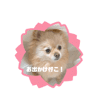 みにつん（個別スタンプ：3）