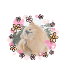 みにつん（個別スタンプ：8）