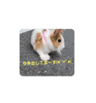 家のドウブツスタンプ（個別スタンプ：6）