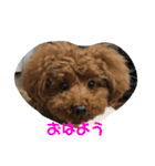 mash stamp_（個別スタンプ：1）