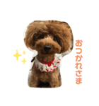 mash stamp_（個別スタンプ：5）