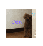 mash stamp_（個別スタンプ：6）