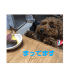 mash stamp_（個別スタンプ：8）