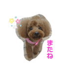 mash stamp_（個別スタンプ：13）
