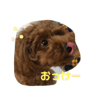 mash stamp_（個別スタンプ：14）