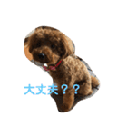 mash stamp_（個別スタンプ：15）