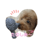 mash stamp_（個別スタンプ：16）