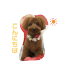mash stamp_（個別スタンプ：17）