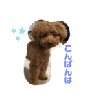 mash stamp_（個別スタンプ：18）