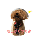 mash stamp_（個別スタンプ：20）