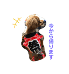 mash stamp_（個別スタンプ：22）