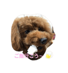 mash stamp_（個別スタンプ：23）