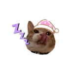 ペット^._.^^._.^（個別スタンプ：6）