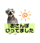 ぐぅスタンプ3（個別スタンプ：34）