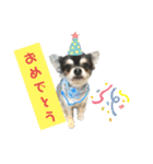 プロペラ3（個別スタンプ：2）