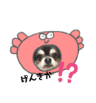 プロペラ3（個別スタンプ：8）