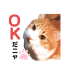 のっそりふみちゃん➀（個別スタンプ：2）