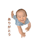 はじゅまる stamp 1（個別スタンプ：8）