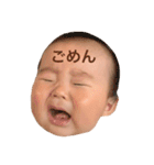 はじゅまる stamp 1（個別スタンプ：11）