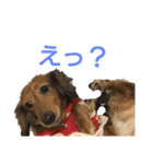 サリコロリン（個別スタンプ：6）