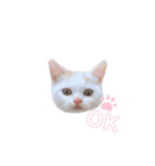まりぱも（個別スタンプ：2）