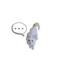 まりぱも（個別スタンプ：3）