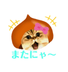 らてにゃんの日常スタンプ（個別スタンプ：4）