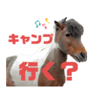 harmonycenter4（個別スタンプ：3）