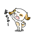 ほのぼのワンワン！夏編（個別スタンプ：5）