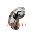 起立リンク（個別スタンプ：4）