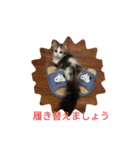 起立リンク（個別スタンプ：9）