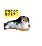 起立リンク（個別スタンプ：11）