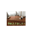 起立リンク（個別スタンプ：13）