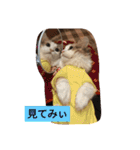 起立リンク（個別スタンプ：18）