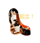 起立リンク（個別スタンプ：19）