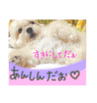 ぼく、マロン（個別スタンプ：4）