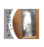 ぼく、マロン（個別スタンプ：11）