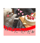 ぼく、マロン（個別スタンプ：14）