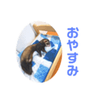 毎日ぐんて（個別スタンプ：8）